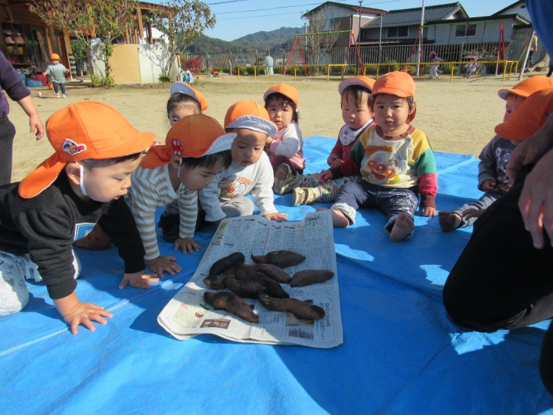 20201112165453_5facea4d31996.jpg