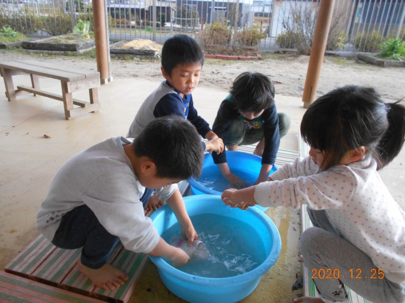 20201228121120_5fe94cd878654.jpg